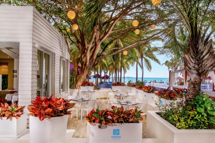 Cover image of a sample of the restaurant Cocoa Restaurant