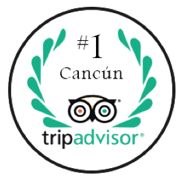 TripAdvisor Ranking #1 Cancún TripAdvisor Ranking #1 Cancún