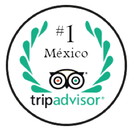 TripAdvisor Ranking #1 México TripAdvisor Ranking #1 México